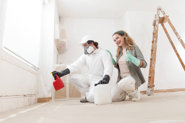 Best Industrial Mold Remediation  in Monee, IL